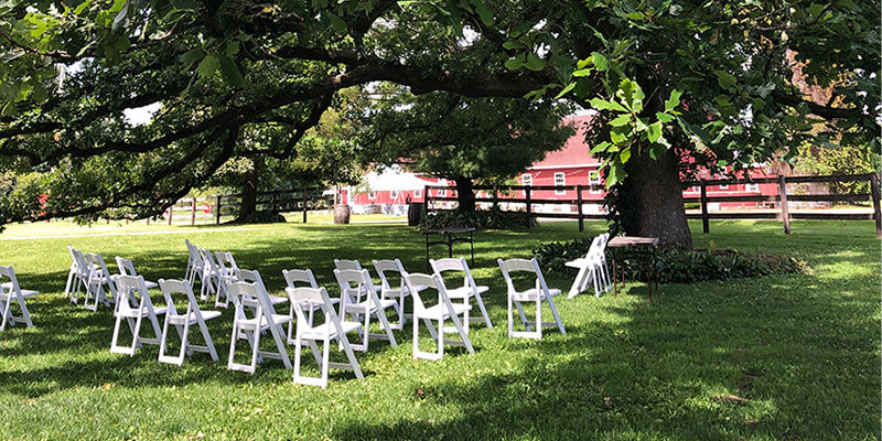 An outdoor area with white folding chairs facing forward, as if partially situated for a wedding. There is a large tree where the chairs are facing. Photo by Anna Longworth. 