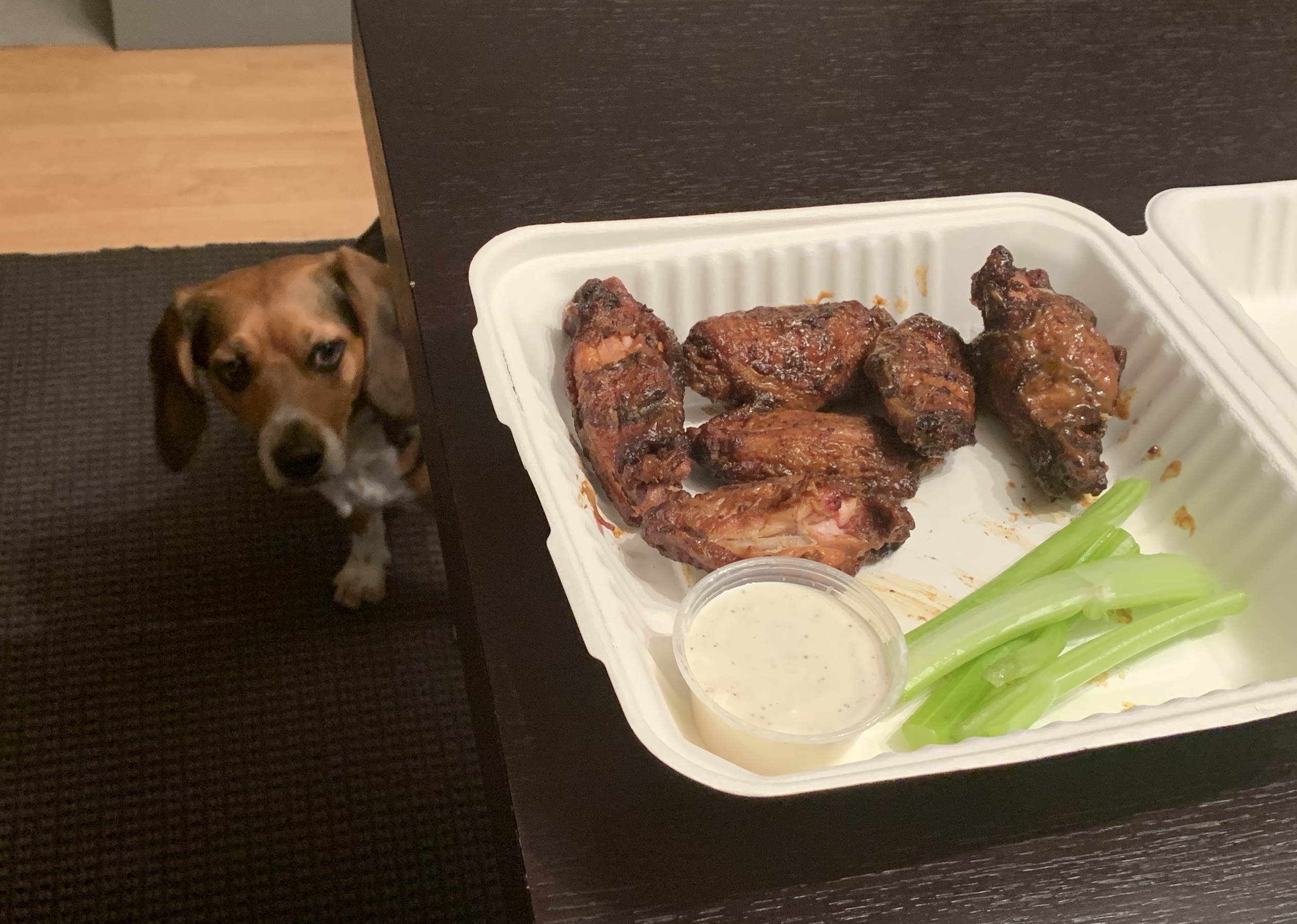 A puppy peeks at the counter which has a white takeout container open revealing six wings with a cup of sauce. Photo by Stephanie Wheatley.