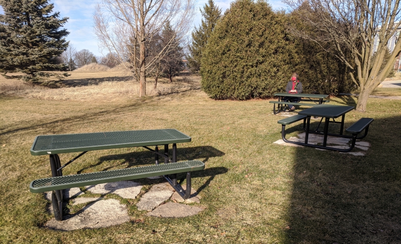 There are three green metal picnic tables in a grassy area, with trees around the perimeter. The writer is sitting at the far picnic table, wearing a red mask. Photo by Andrea Black.