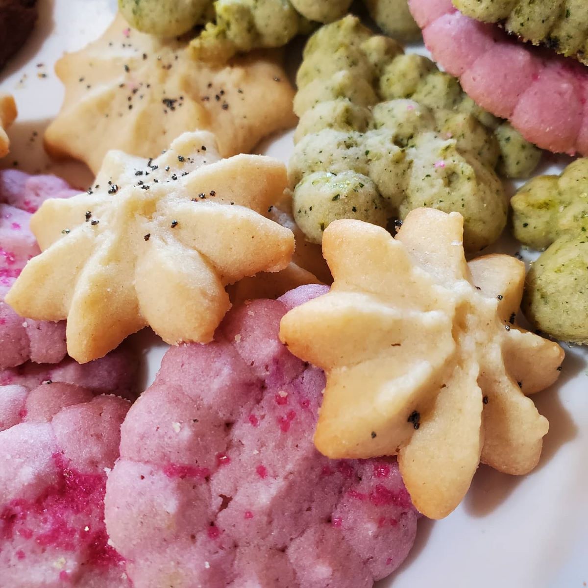 A close-up shot of white (star-shaped), pink (flower-shaped), and green (tree-shaped) spritz cookies sprinkled with something black. Photo by Heidi Leuszler.