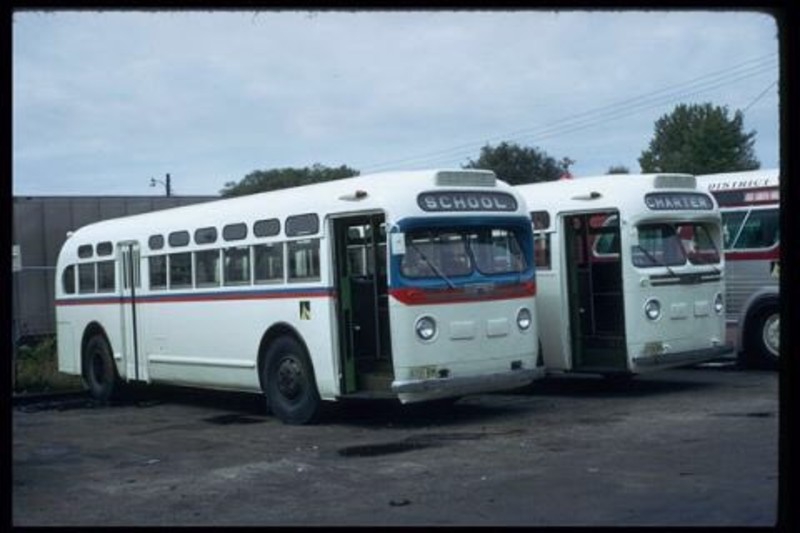 Three vintage white busses with blue and red detailing are lined up in a parking lot. The word SCHOOL is visible on the front of the first bus, and CHARTER on the second. Photo from BusTalk U.S. Surface Transportation Galleries. 