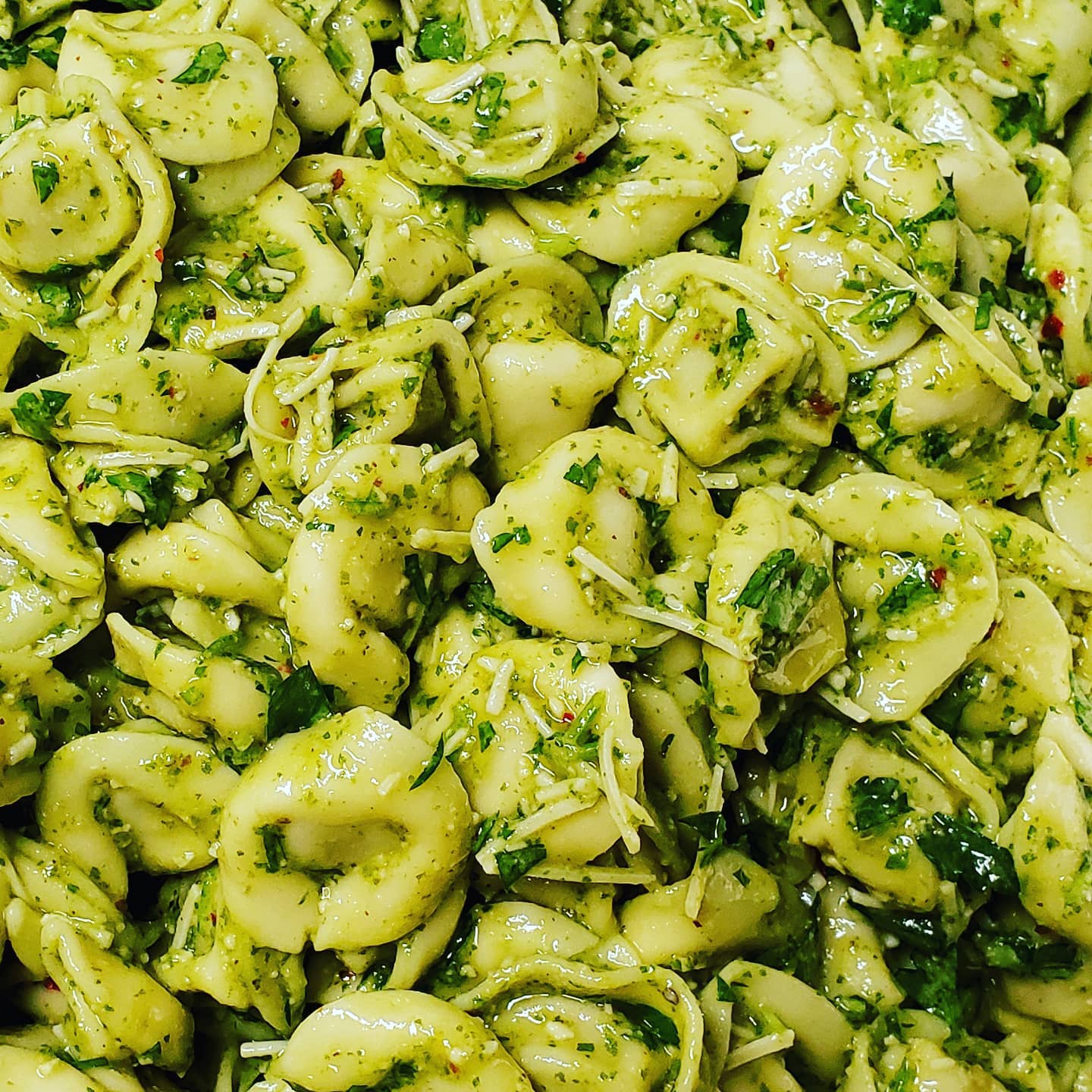 A close up of Baldarottaâ€™s Arugula Pesto Tortellini Salad fills the screen. The tortellini are evenly coated in the pesto, which features visible pieces of Arugula throughout. It is sprinkled with shredded parmesan cheese. Photo by Jordan Baldarotta.