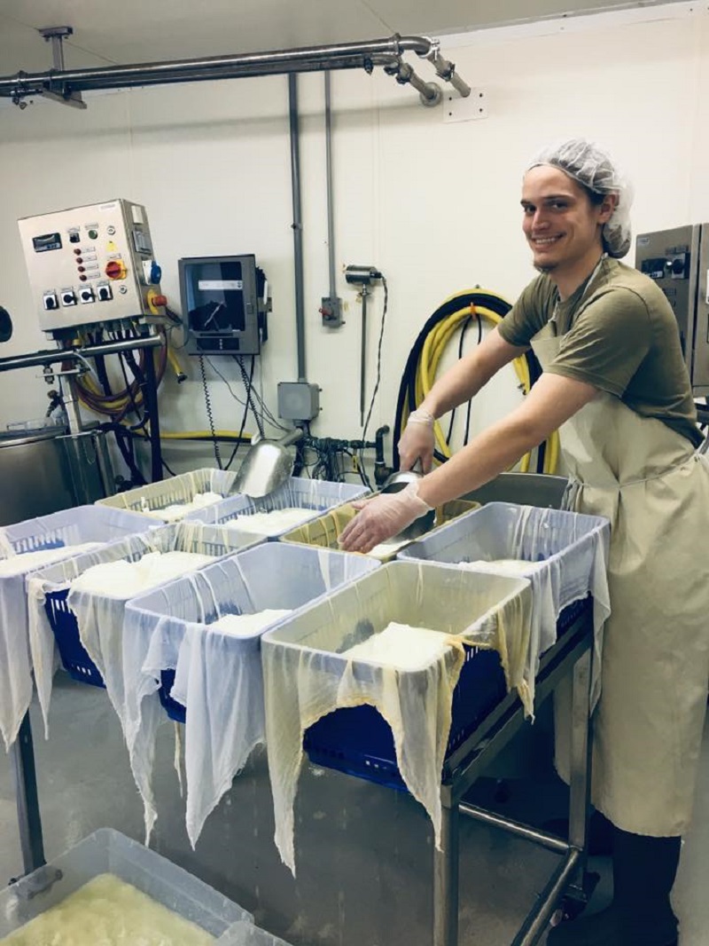 An employee standing over multiple vats in the process of making cheese. Photo courtesy of Prairie Fruit Farms and Creamery.