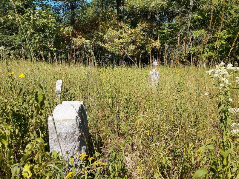 Three light gray gravestones are scattered throughout a green tall grass prairie. Photo from Grand Prairie Friends Facebook page.
