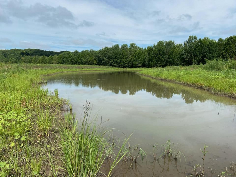 A small body of water is surrounded by green prairie grass with a line of trees in the background. Photo from Grand Prairie Friends Facebook page.