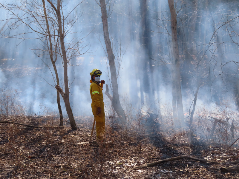 A person in a yellow protective jumpsuit, goggles, and a maks stands amongst trees with a haze of smoke in the air. Photo from Grand Prairie Friends Faceook page.