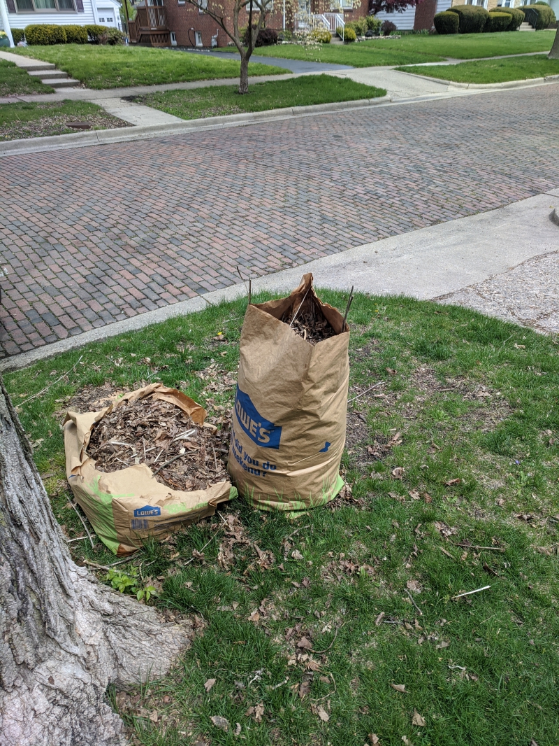 Two brown paper lawn waste bags are sitting on a patch of grass. One is ripped and you can see the contents. Photo by Tom Ackerman.