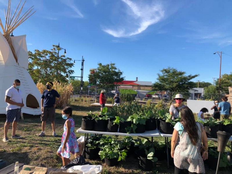 A group of people are scattered throughout a grassy area with tables of plants. Photo from Organic Oneness Facebook page.