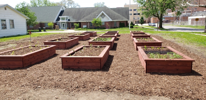 Three rows of four raised garden beds sit in a grassy area. There are houses on either side. Photo from HHCC Facebook page.