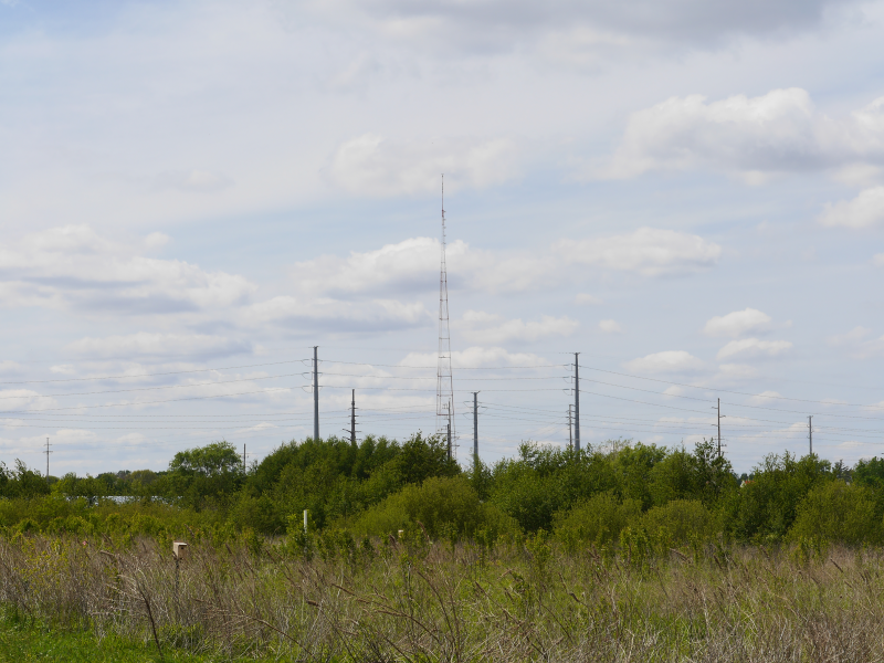 A tall radio tower stands in the distance, and several telephone poles are visible as well. In the foreground there are long grasses and green leafy trees.