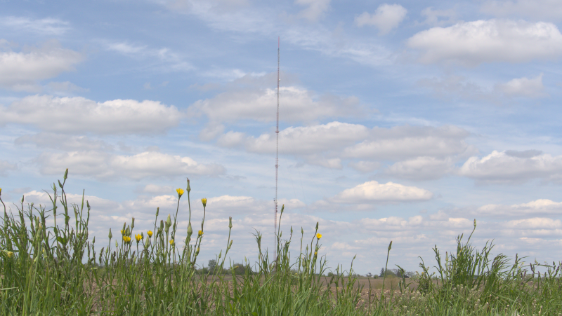 A tall, thin tower stands against a blue sky dotted with white clouds. There are green and yellow flowering plants along the foreground. Photo by RD Bennett.