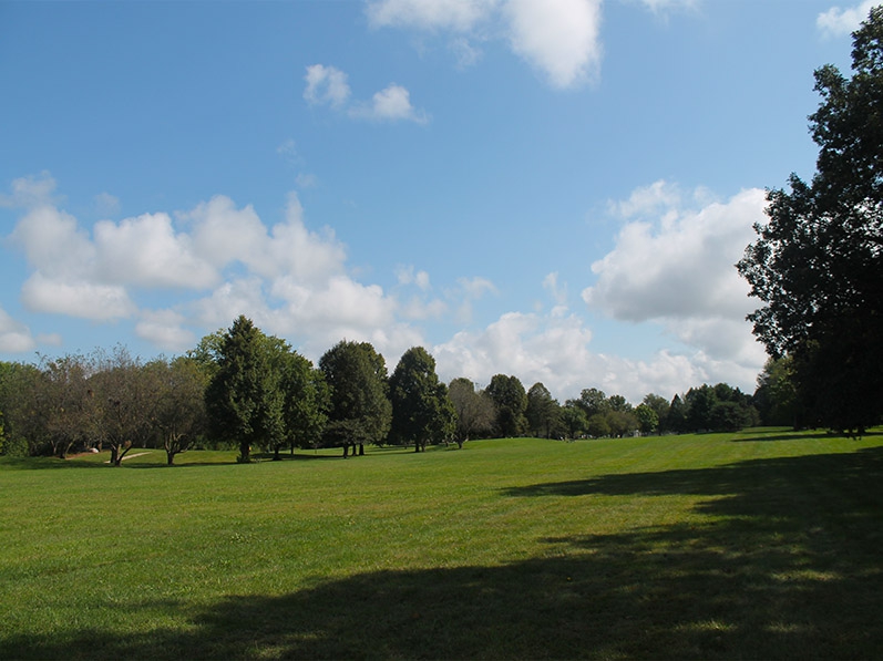 a wide open field in Robeson Park 