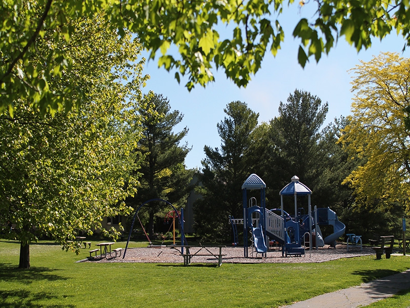 a blue kids playground surrounded by trees 