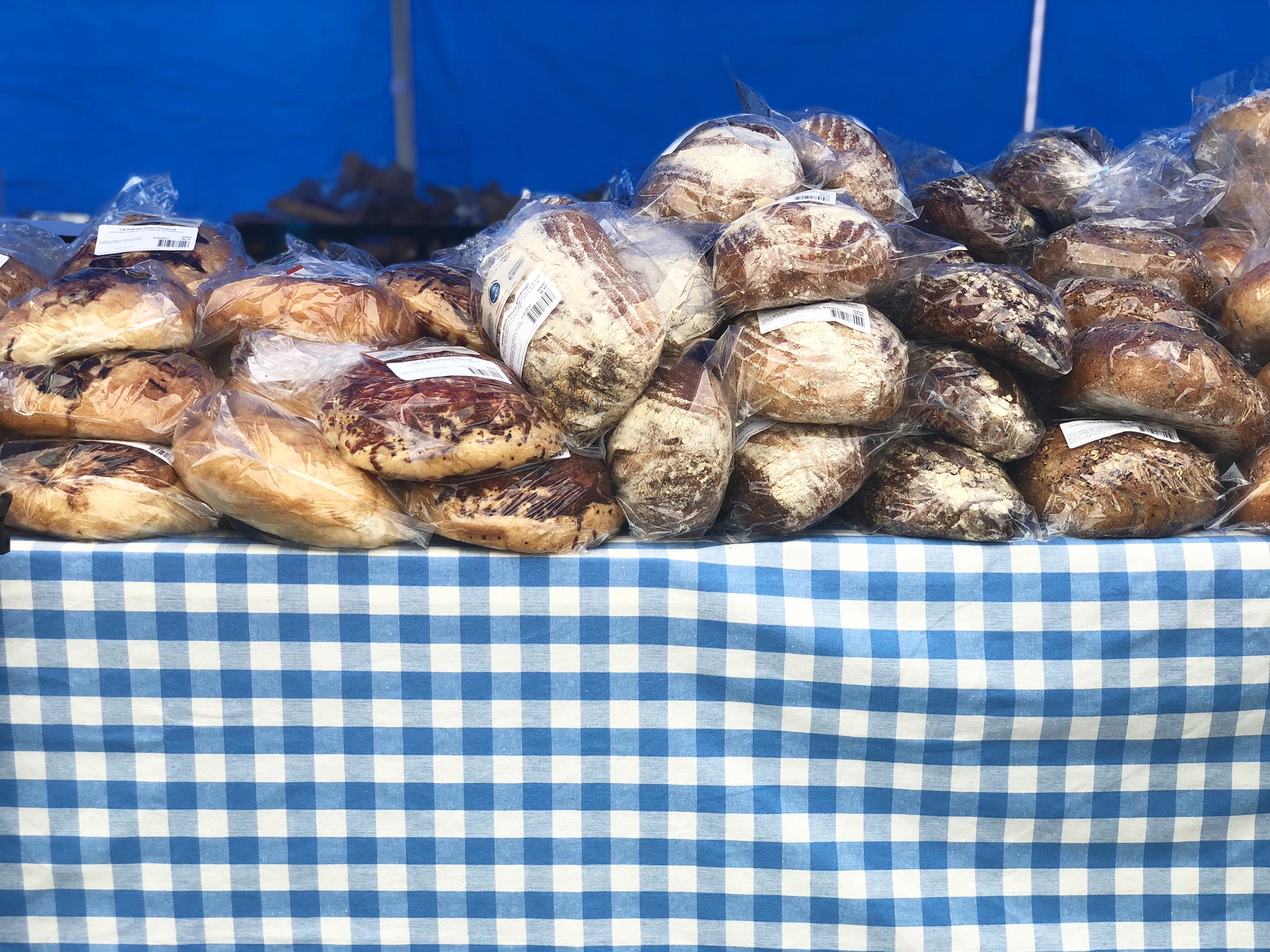 On a table with white and blue checkered tablecloth, there are several varieties of bread wrapped in plastic. Photo by Alyssa Buckley.