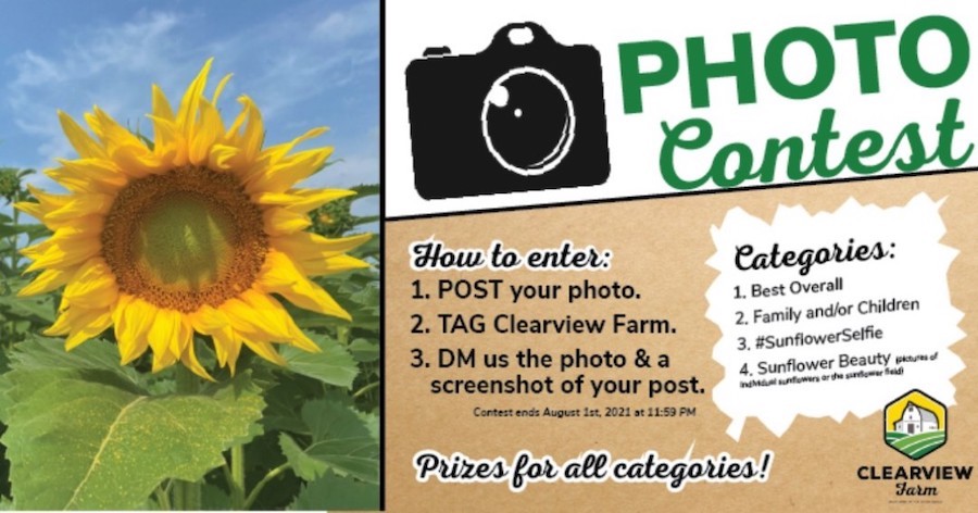 Poster of a sunflower with rules on how to enter the photo contest. Photo from Clearview Farm Facebook page.