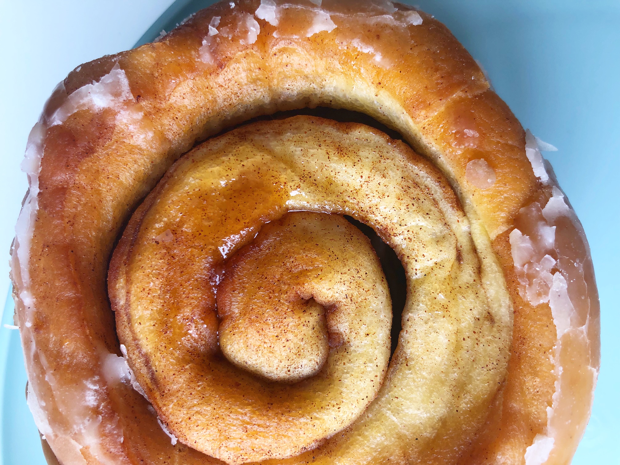 A close photo of the underside of a cinnamon roll donut from Ye Olde Donut Shoppe. Photo by Alyssa Buckley.