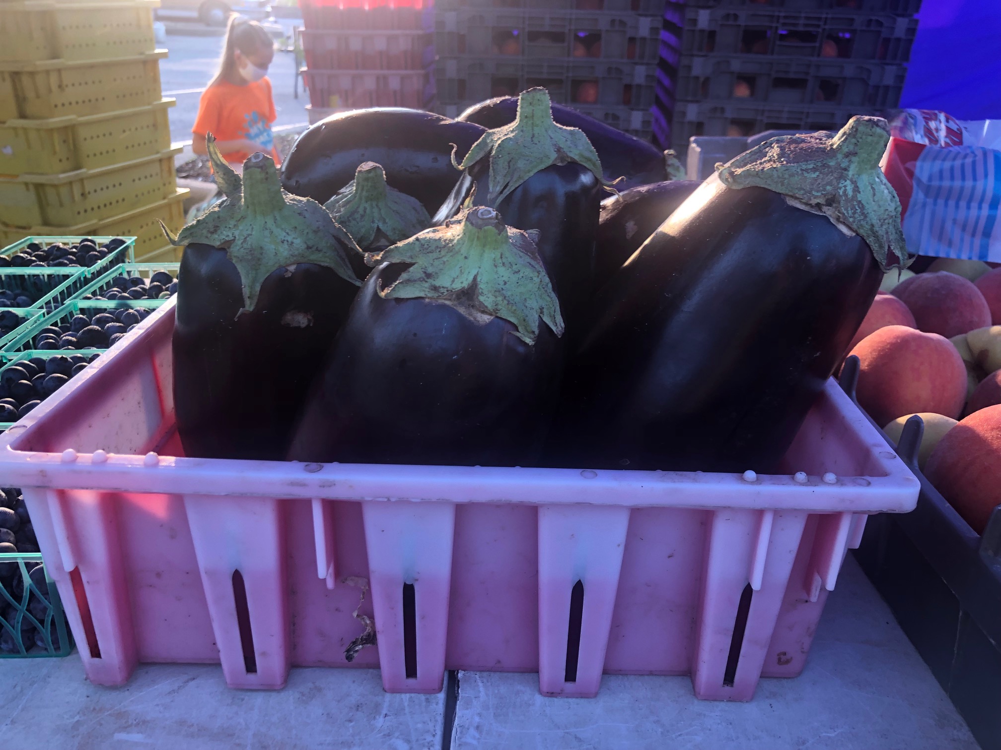 In a plastic, purple container, there are several large dark purple eggplants, stem up, waiting to be sold. Photo by Alyssa Buckley.