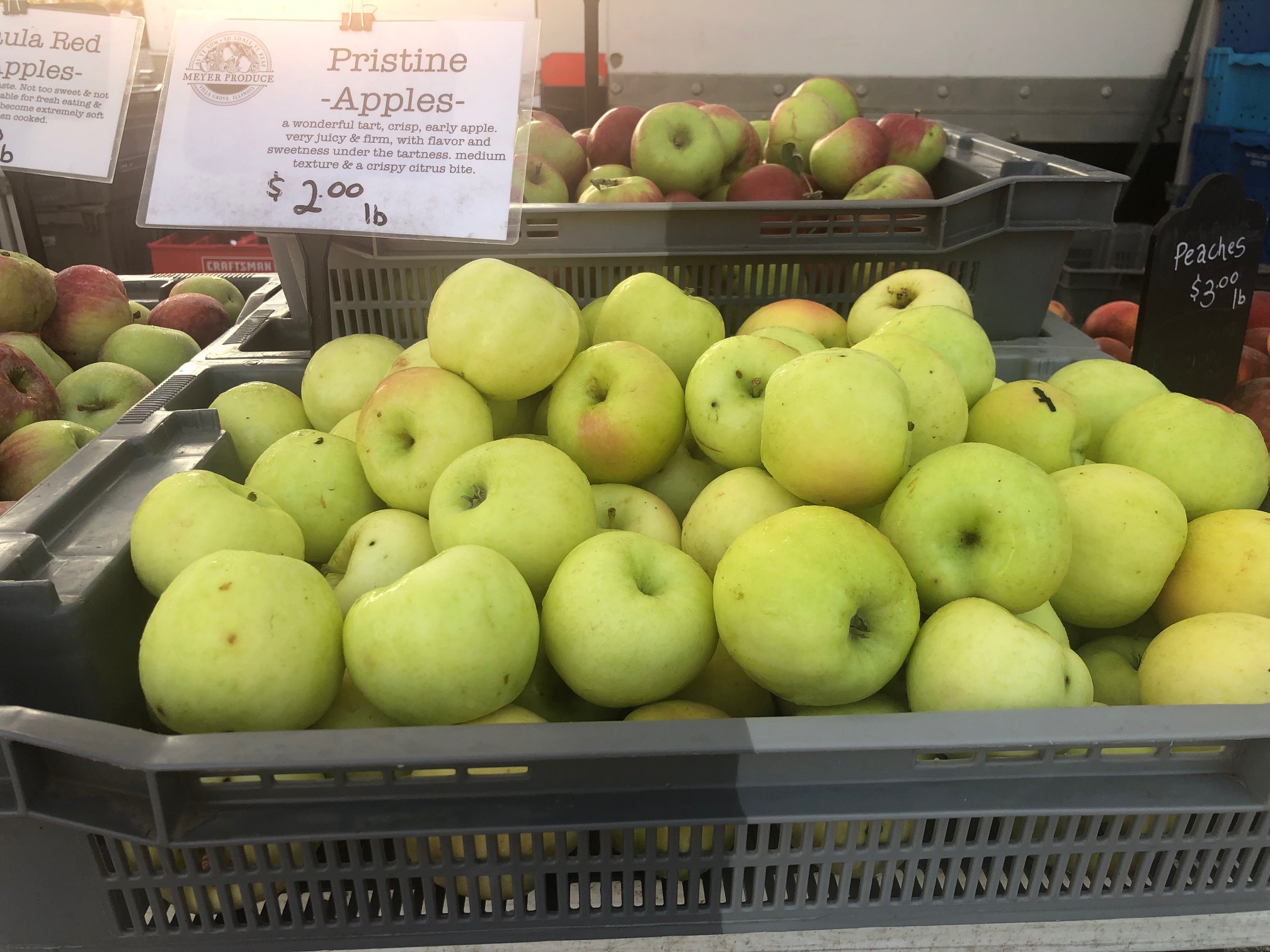 In a large gray box, there are yellow apples waiting to be sold at the farmers' market. Photo by Alyssa Buckley.