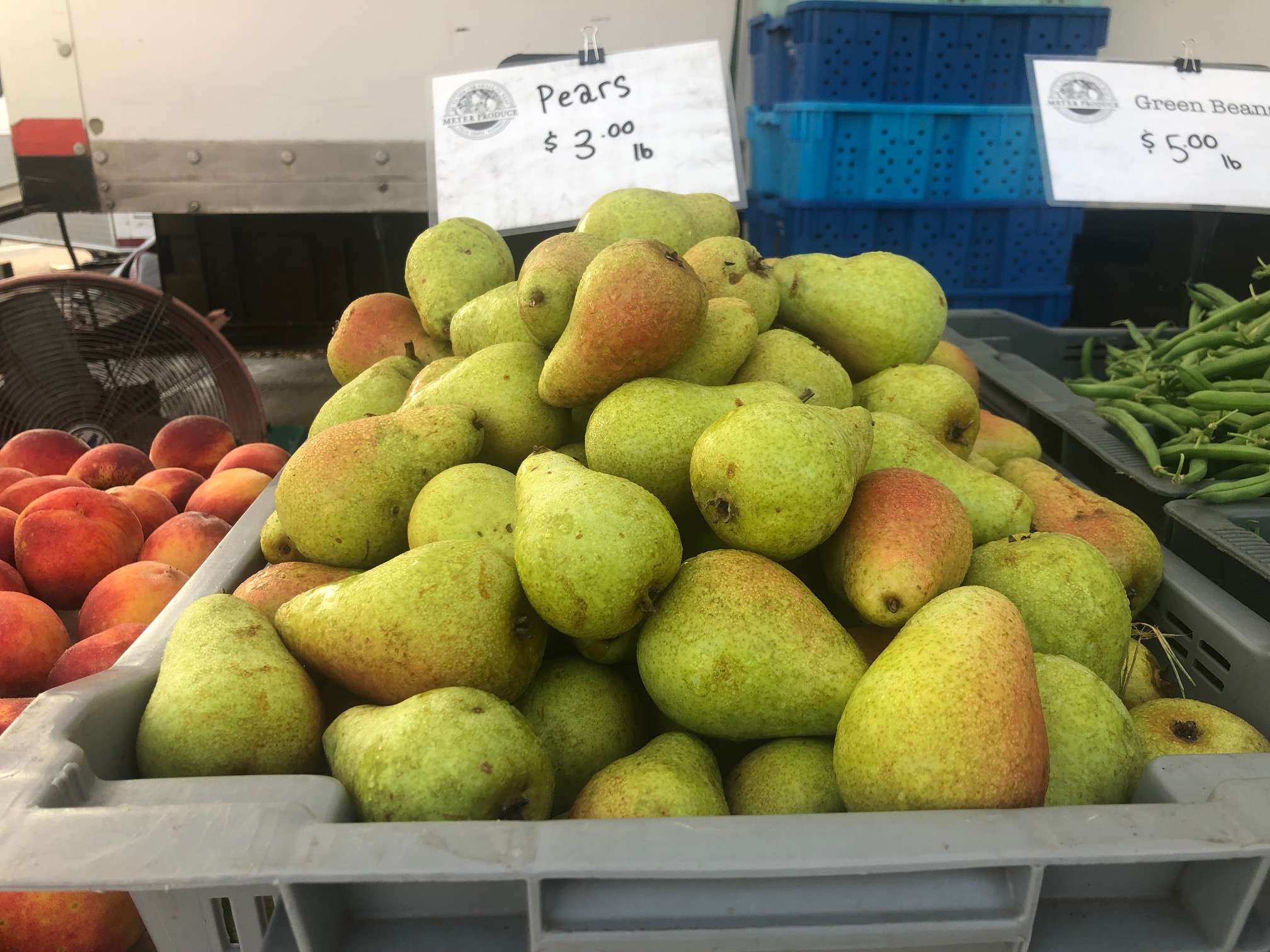 In a gray container, there are several pears stacked on top of each other waiting to be sold at the farmers' market. Photo by Alyssa Buckley.