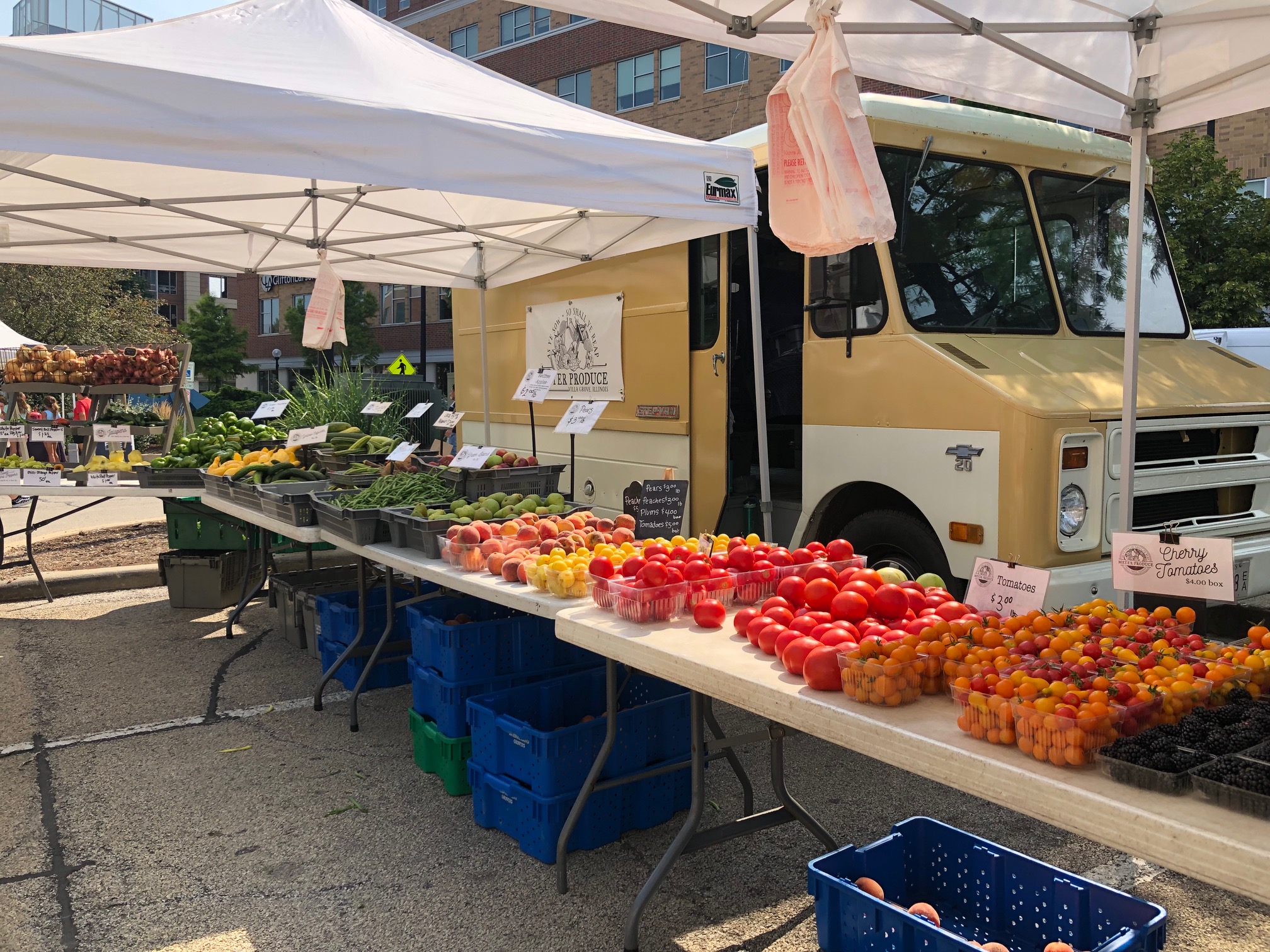 Two folding tables are set up beside each other, making one long rectangular counter for Meyer Produce to lay out the produce for sale at the Champaign Farmers' Market. Behind the tables, there is a vintage bus that is beige and light yellow. Photo by Alyssa Buckley.