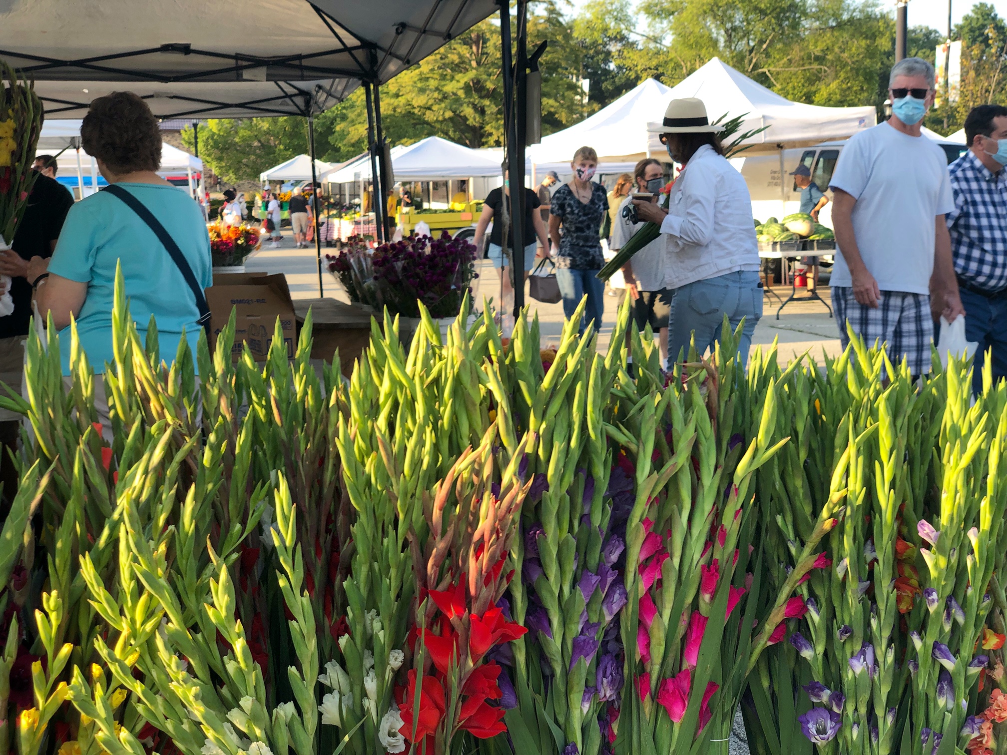 At the outdoor farmers market Urbana in the Square, masked shoppers walk on a sunny day. In the foreground, there are several long bouquets of flowers taking up half of the image. Photo by Alyssa Buckley.