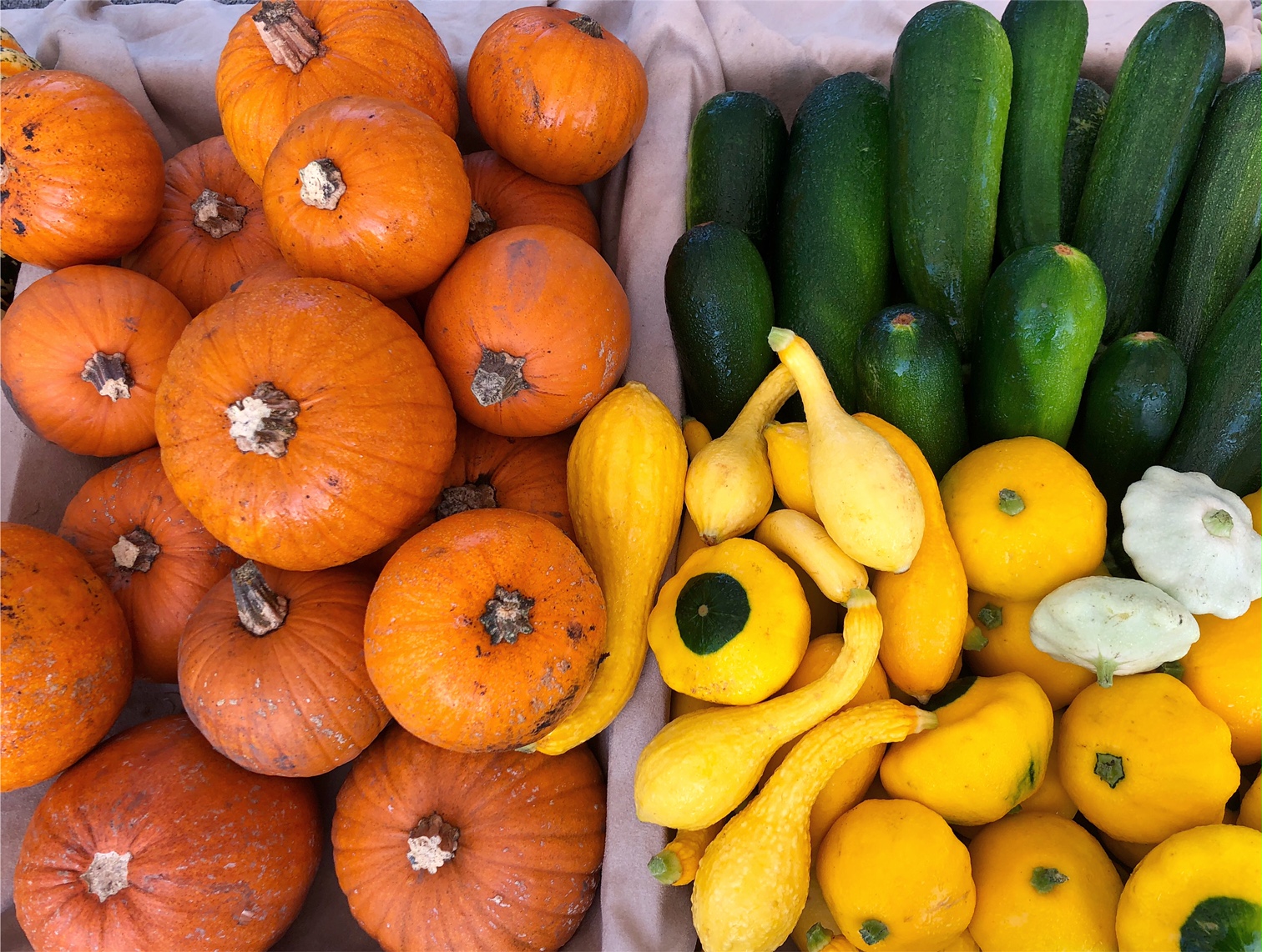An overhead photo shows pumpkins in one burlap lined basket beside another basket of yellow squash, zucchini, and garlic. Photo by Alyssa Buckley.