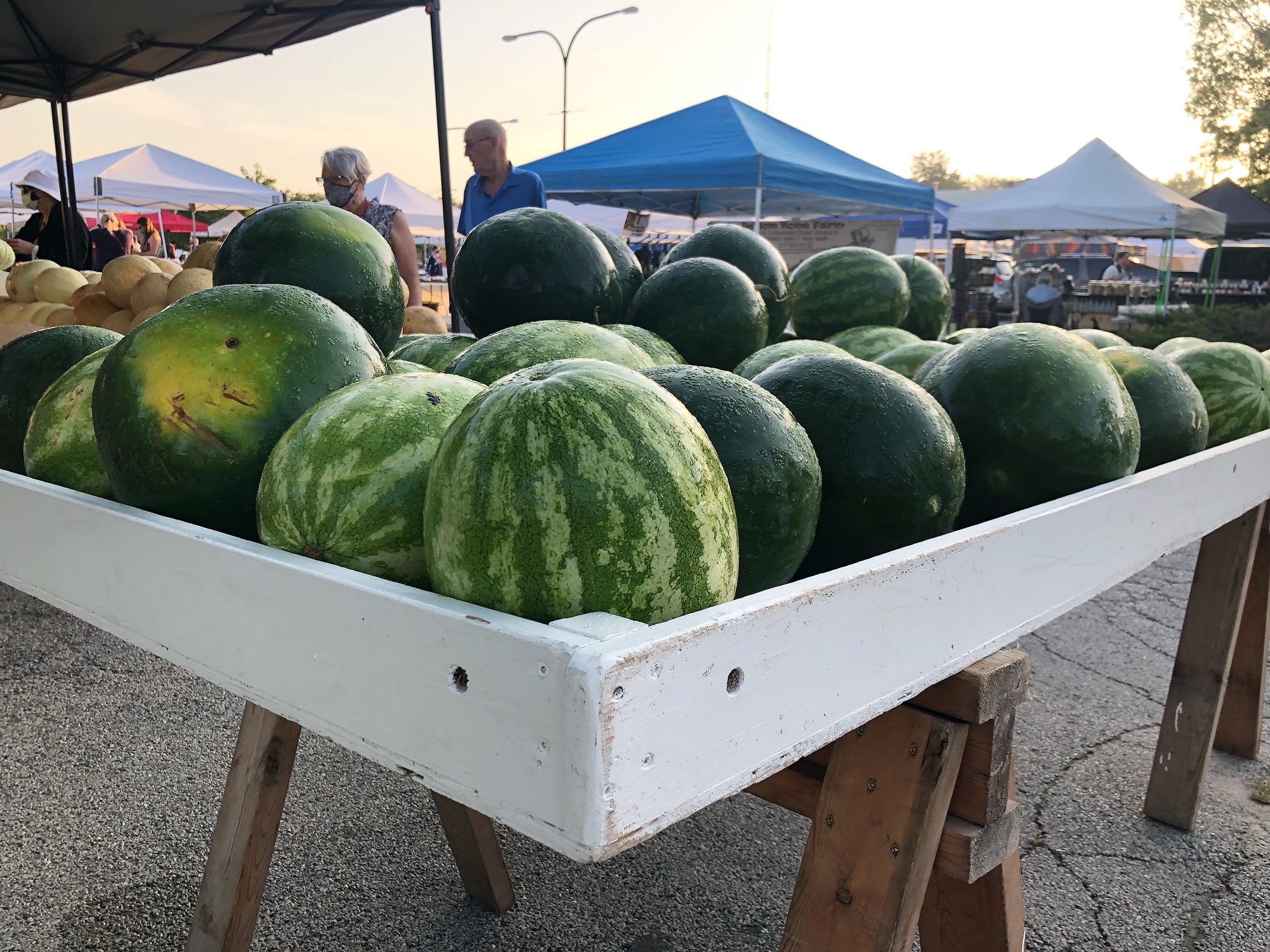 On a wooden table painted white, there are many small watermelons for sale at the Urbana Market in the Square. Photo by Alyssa Buckley.