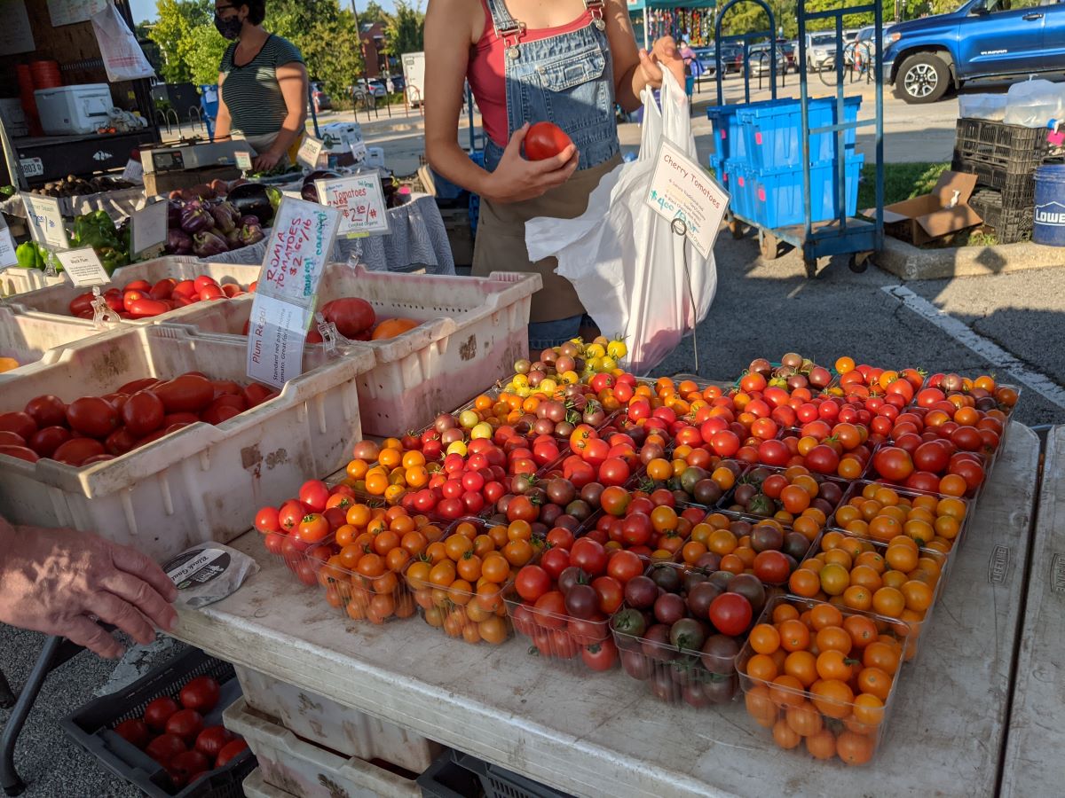 Purple, orange, red, and yellow tomatoes in clear plastic trays on a white(ish) plastic table. Behind the table is a vendor loading red tomatoes into a white plastic bag. Photo by Tias Paul.