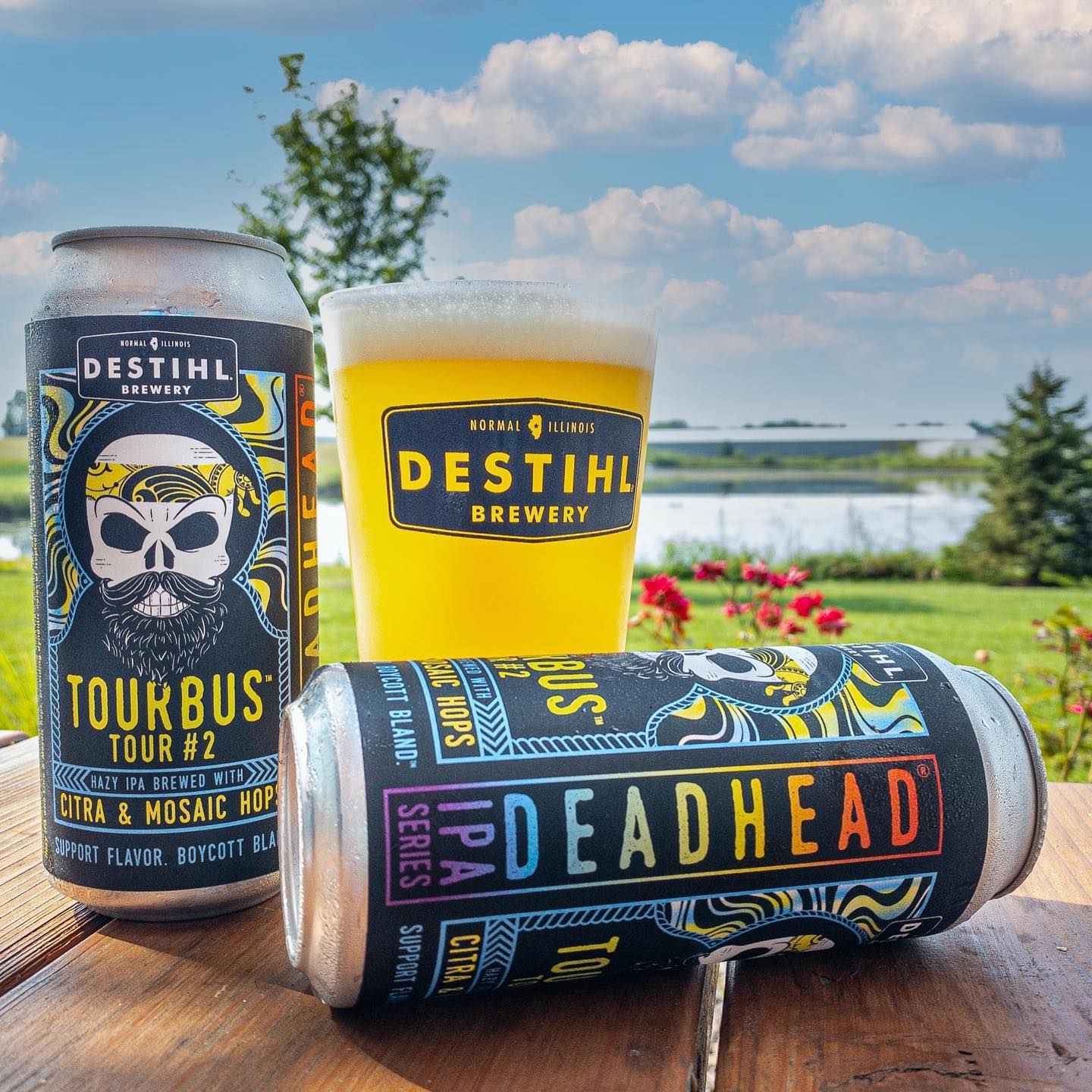 On a bright and sunny day, two beer cans and a glass of light beer are on a wooden picnic table. The two beers won awards, and TourBus is standing up and Deadhead can is sideways. Photo from Destihl Brewery's Facebook page.