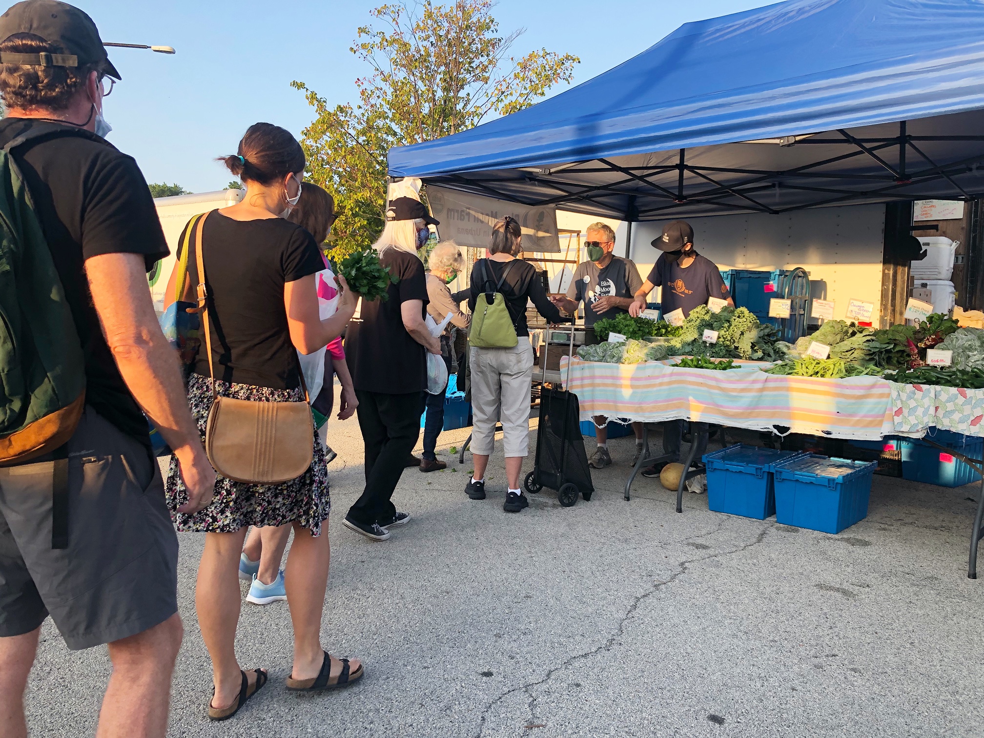 Masked shoppers wait in line to buy produce from a blue tent at the Urbana Market in the Square.  Photo by Alyssa Buckley.
