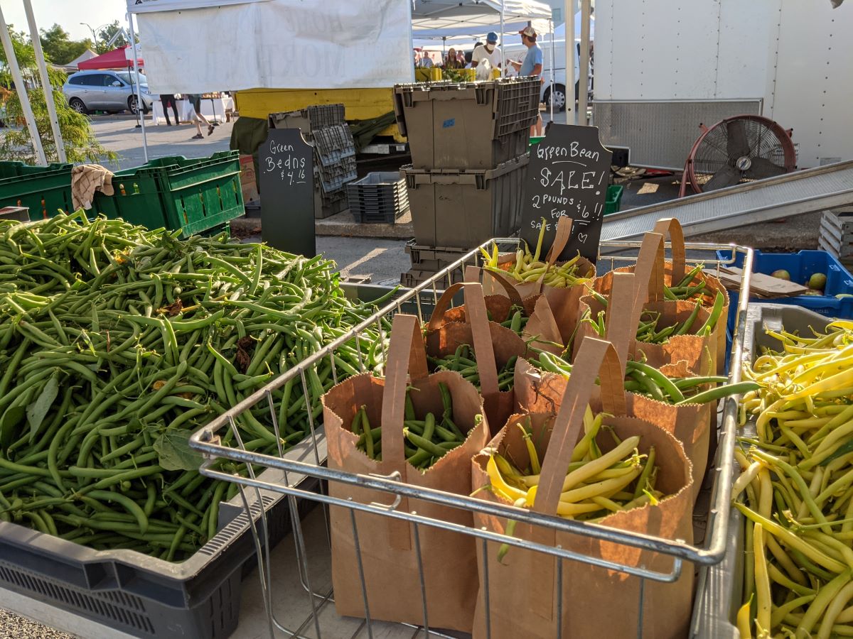 Light and dark green beans in brown paper bags with handles are in the center of the picture. To the left and right of them are bulk bins of green beans. Photo by Tias Paul.