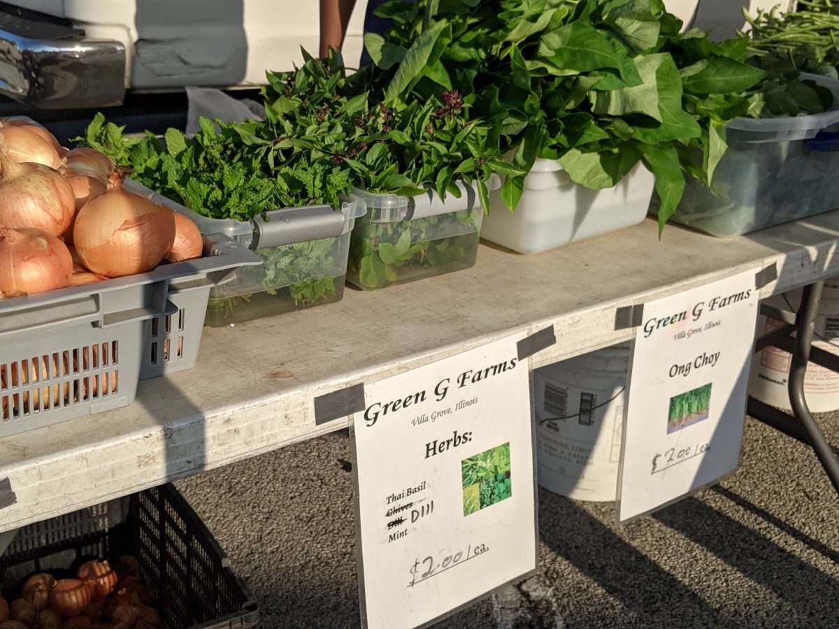 The top of the picture shows green leafy herbs in shallow plastic trays with water. The trays are on plastic foldout tables with laminated Green G Farms signs taped to the front listing items and prices. Photo by Tias Paul.