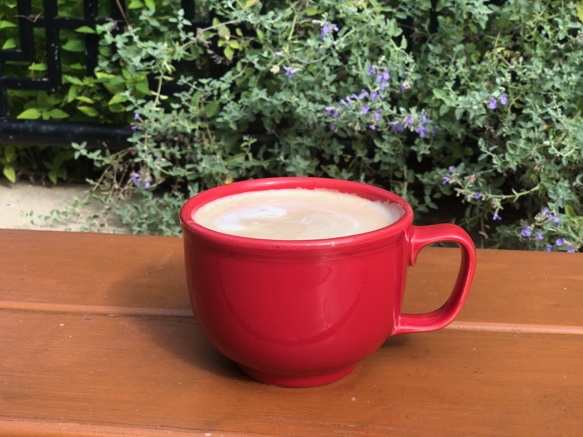In a large red mug, there is a pumpkin pie latte from Aroma Cafe on a wooden patio table with pretty bushes and flowers behind it. Photo by Alyssa Buckley.