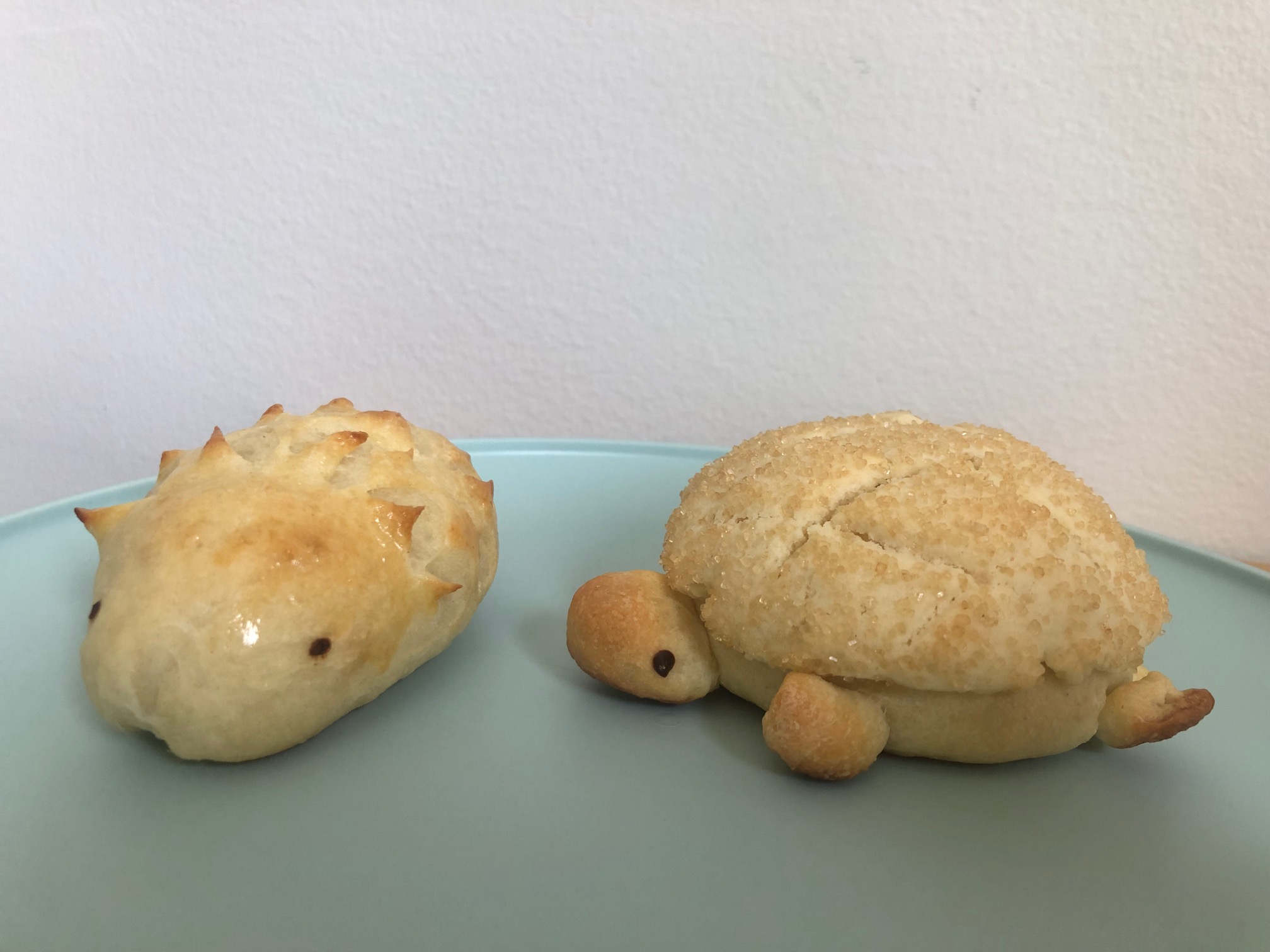 On a light blue plate, there are two animal shaped yeast rolls: a porcupine and turtle. Photo by Alyssa Buckley.