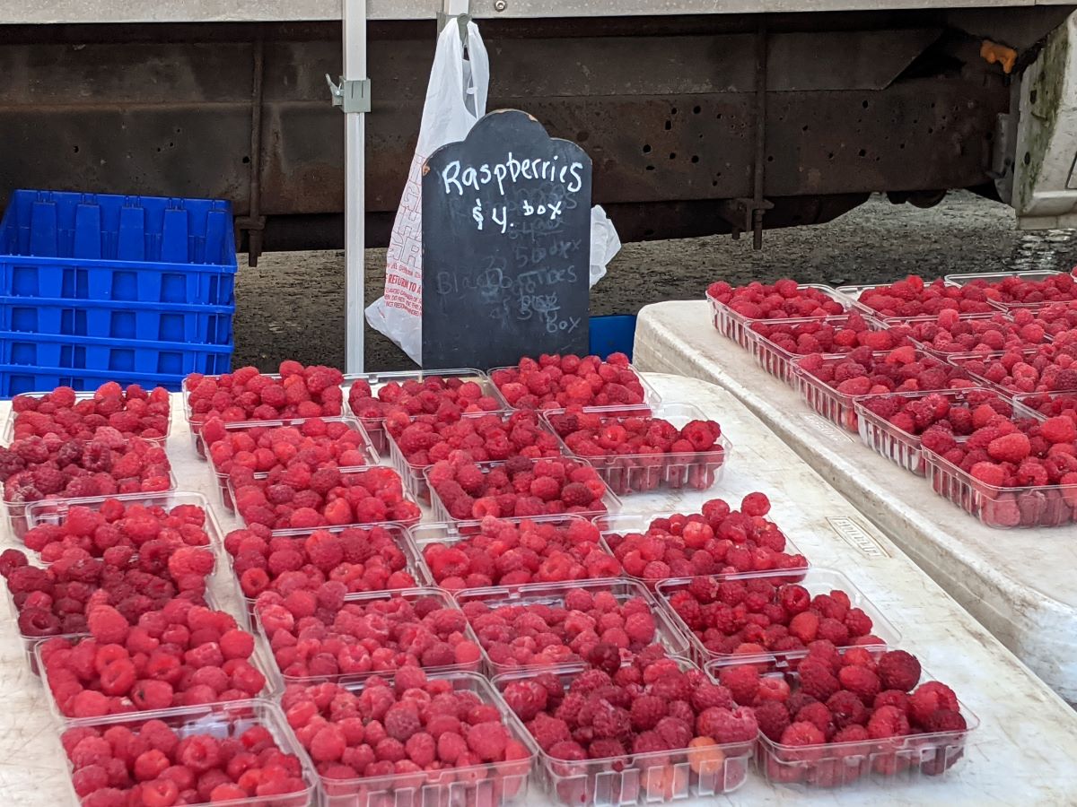 Red raspberries in clear plastic trays on a white(ish) table. Behind the raspberries is a black chalkboard sign with the price of the item. Photo by Tias Paul.