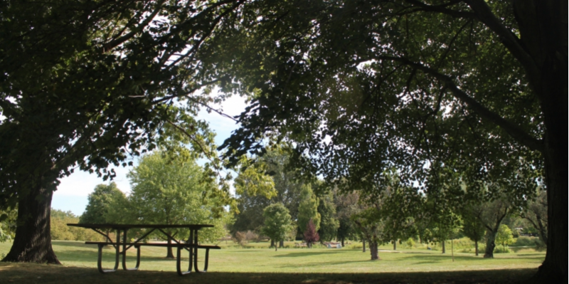 picnic table under trees at mattis park 