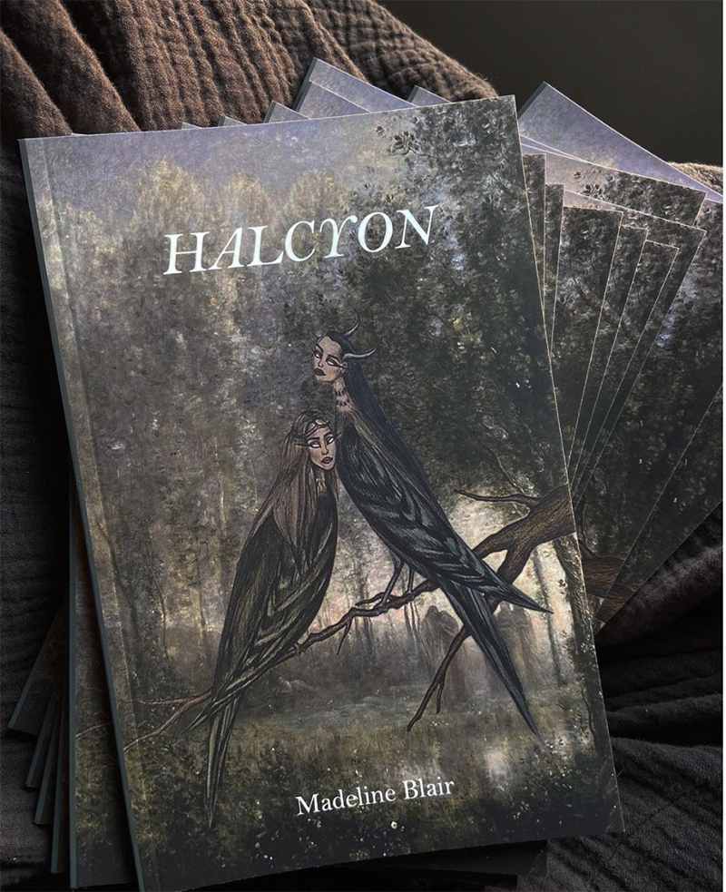 Photo of cover of Halcyon by Madeline Blair. Photo from Madeline Blair's Instagram.