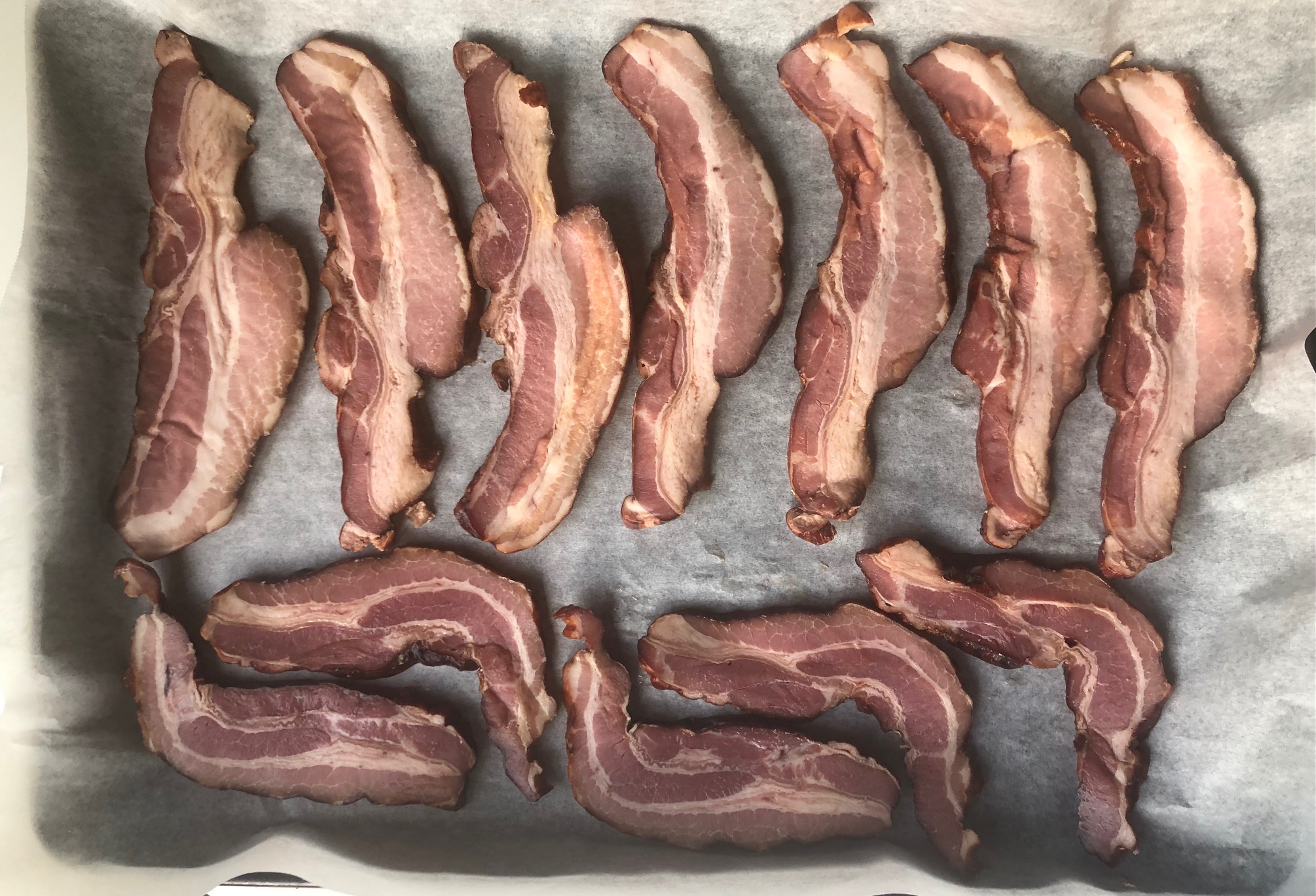 On a tray lined with parchment paper, there are thick slices of uncooked bacon. Photo by Alyssa Buckley.