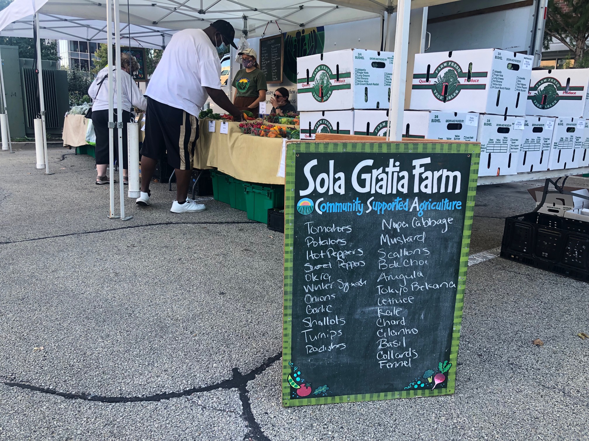 In front of the Sola Gratia farm stand at the Champaign market, there are two shoppers picking out produce. Photo by Alyssa Buckley.