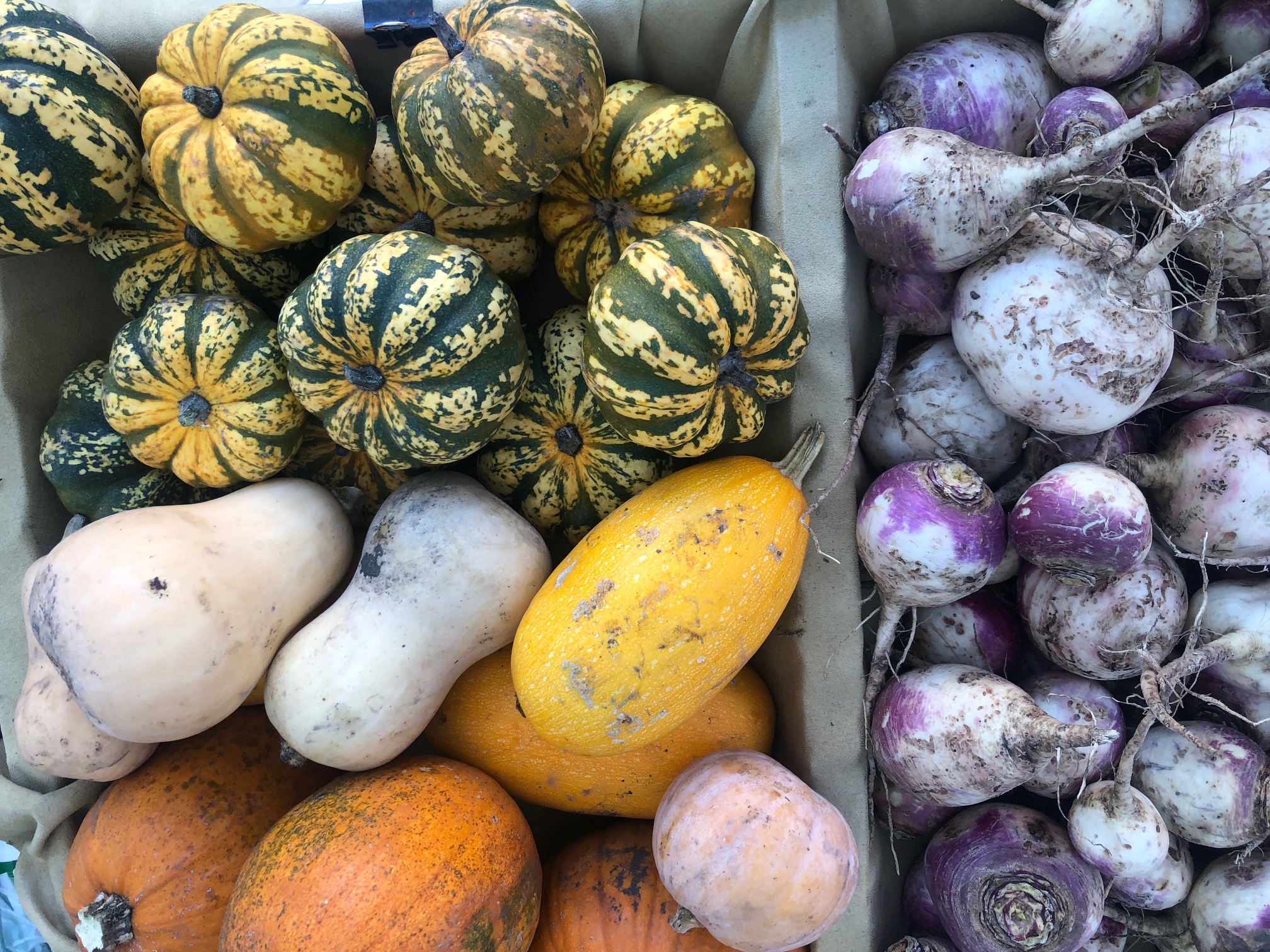 An overhead photo shows a burlap lined basket with butternut squash, pumpkings, and colorful acorn squash. Photo by Alyssa Buckley.
