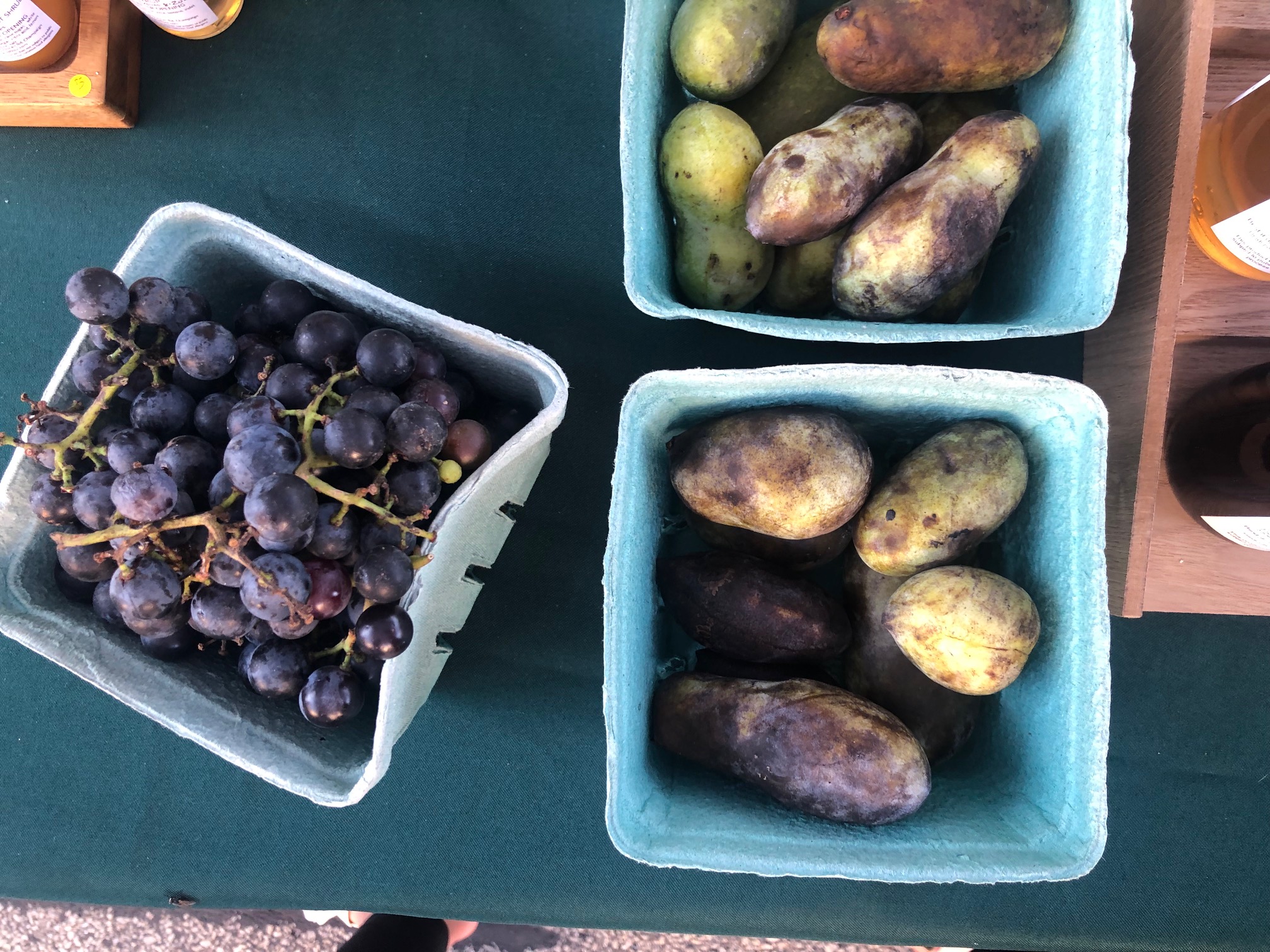 On a black tablecloth, there is a small basket of fruit on the vine and two baskets of paw paws. Photo by Alyssa Buckley.
