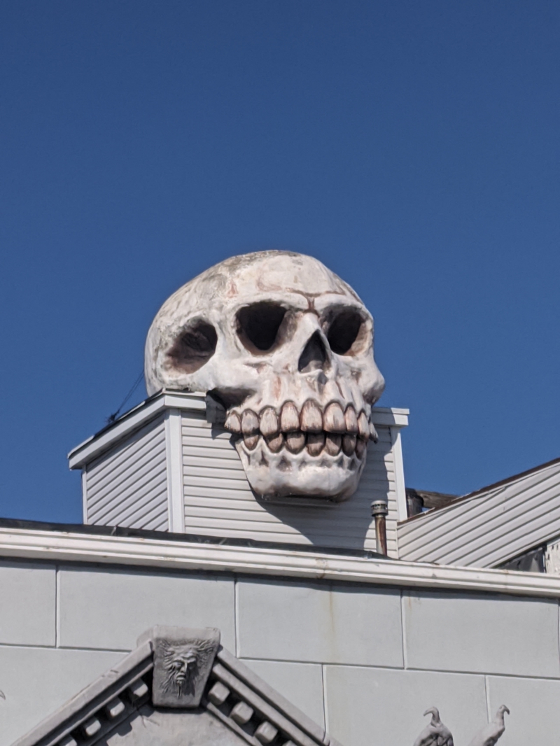 A closer shot of the giant skull sitting on top of the roof of a building. Photo by Tom Ackerman.