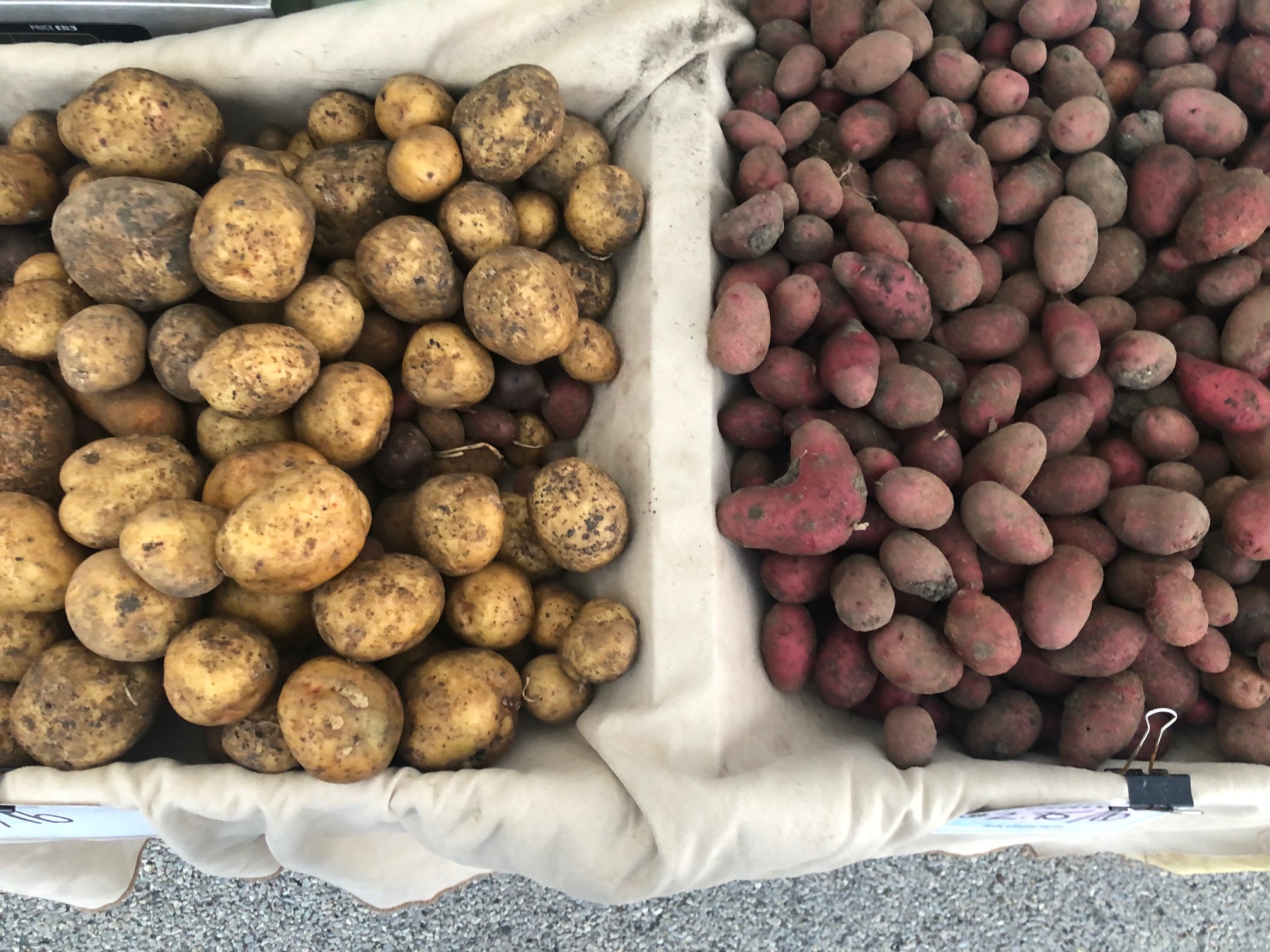 From overhead, there are two burlap lined baskets of potatoes. On the left, russet potatoes, and on the right, red potatoes. Photo by Alyssa Buckley.