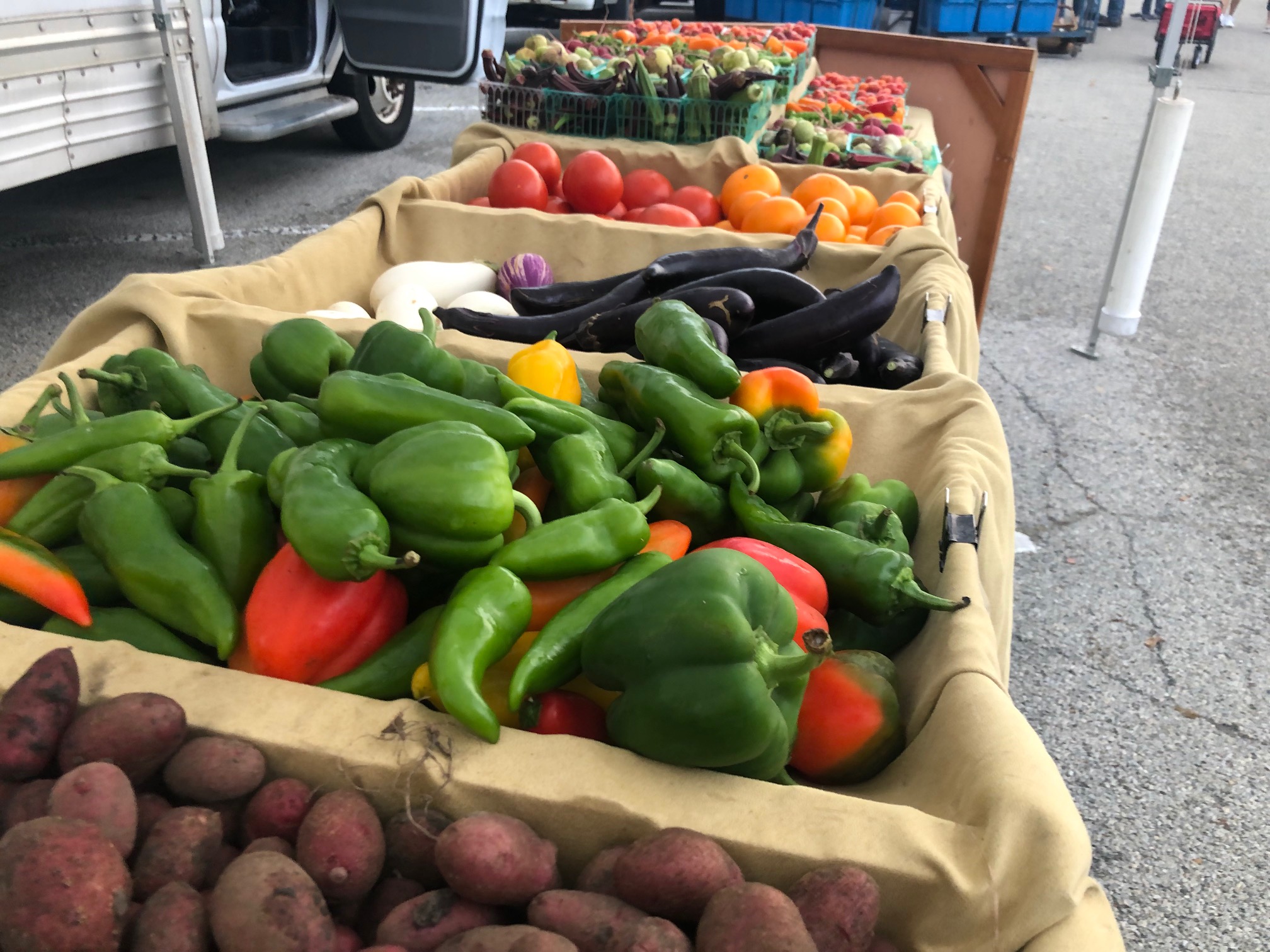 A side view of the Sola Gratia farm stand at the Champaign farmers' market shows bell peppers, peppers, and potatoes. Photo by Alyssa Buckley.