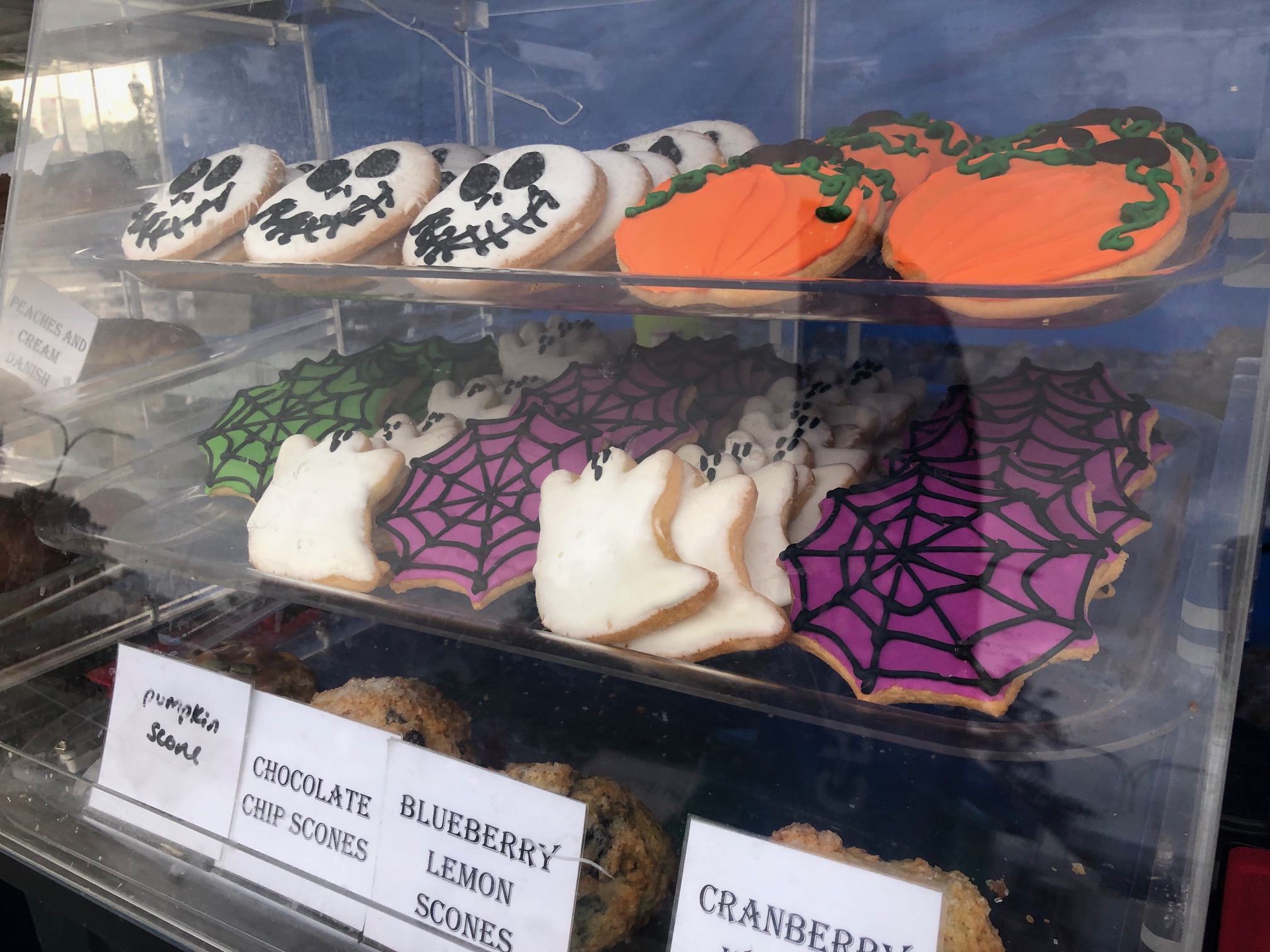 Inside a clear plastic case, there are Halloween themed cookies ghosts, spiderwebs, and scary faces. Photo by Alyssa Buckley.