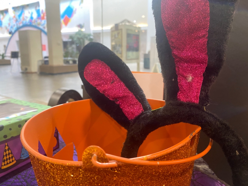 A black fuzzy head band with rabbit ears. The ears are black with a pink center. The headband is hanging on a sparkly orange jack o lantern bucket. Photo by Julie McClure.