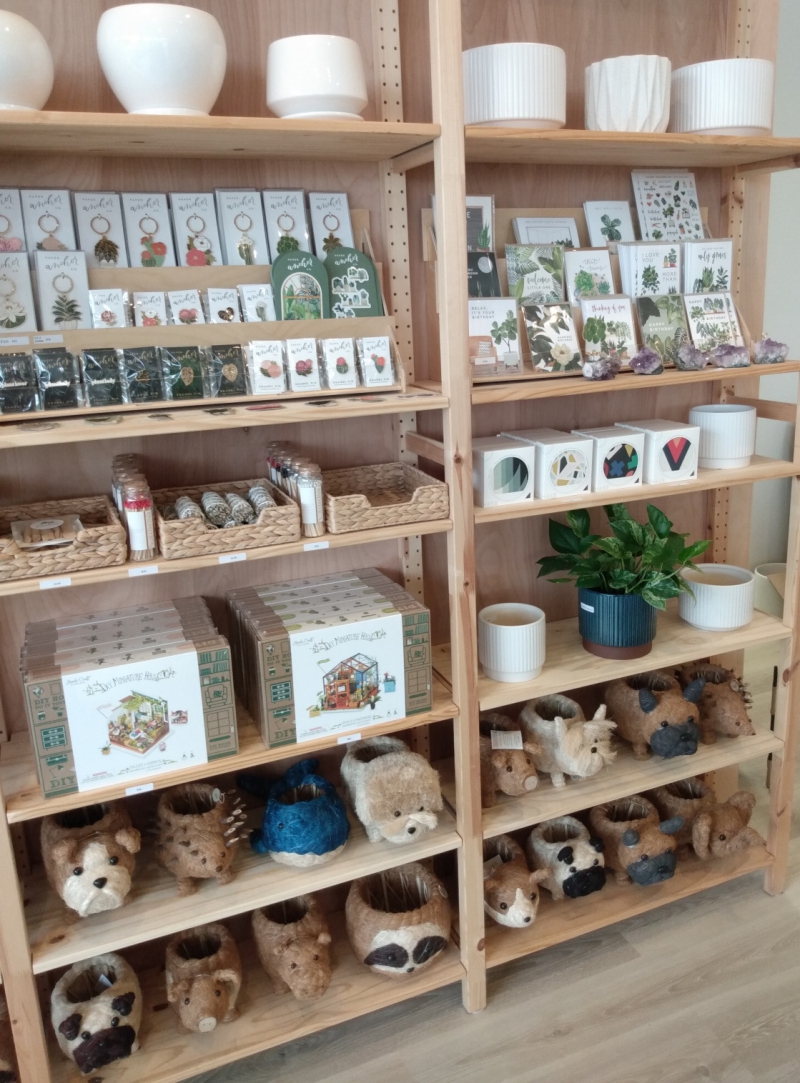 Home and lifestyle products sold in Plantify displayed on wooden shelves. The bottom two shelves show handmade wicker baskets shaped as animals, including dogs, pigs, hedgehogs, a rabbit, and a whale. A middle shelf displays matches and white sage to the left and plant-themed socks to the right. Above that there is a display of leaf-shaped keychains to the left and plant-themed greeting cards to the right. The top shelf houses white pots. Photo by Michael Oâ€™Boyle.