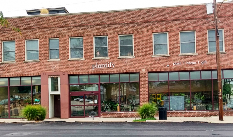 The outside of Plantify on the corner of East Washington Street and North Hickory Street in Downtown Champaign. The building has a red brick faÃ§ade with large glass windows on the ground floor. The words â€œplantifyâ€ and â€œplant home giftâ€ are displayed in large white letters over these windows. Some green plants are visible through the windows. Photo by Michael Oâ€™Boyle.