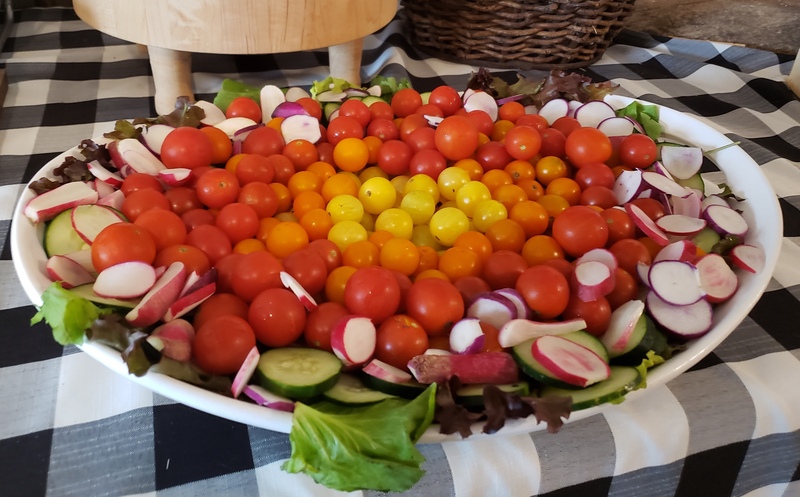 A large white platter full of vegetables on a black and white checkered tablecloth. Orange, yellow, and red grape tomatoes; sliced cucumbers, and sliced radishes sit on a mixture of lettuce leaves. Photo by Sara Ressing.