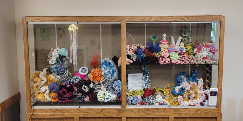 A case filled with crocheted shapes resembling those from a coral reef. 